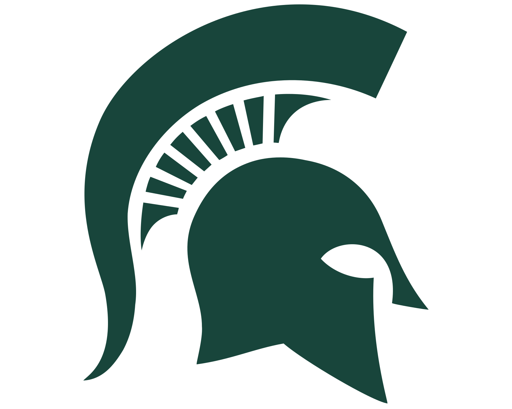 Michigan State University