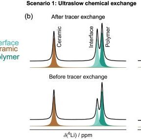 Critical role of polymer-ceramic ion exchange for high conductivity composite electrolytes featured image