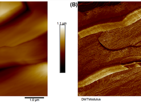 A Solid State Zwitterionic Plastic Crystal with High Static Dielectric Constant featured image