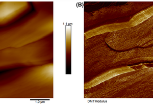 A Solid State Zwitterionic Plastic Crystal with High Static Dielectric Constant featured image