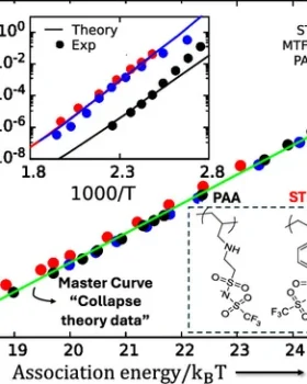 Theoretically Unveiling the Factors that Control the Activated Ion Mobility in Lithium-Based Polymerized Ionic Liquids and Glasses featured image