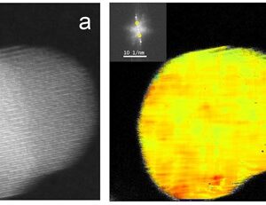 High-Resolution Characterization of Ceramic Nanorods and their Surfaces to Optimize Ion Transport in Composite Polymer/Ceramic Electrolytes featured image