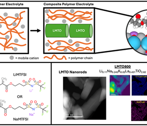 Mechanistic Insight into the Effects of A-site Doping in Perovskite Nanorods on Interfacial Li-Ion and Na-ion Transport in Polymer-Perovskite Composite Electrolytes featured image