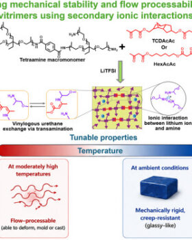 Overcoming Mechanical Stability-Flow Processability Trade-Off of Vitrimers using Ionic Interactions featured image